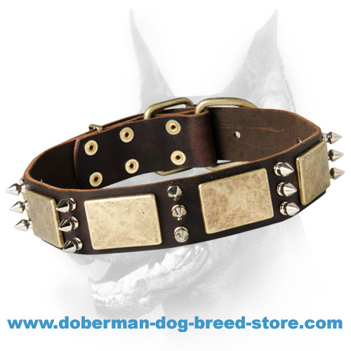 Exclusive Doberman Collar - New Leather Collar with Plates and Spikes