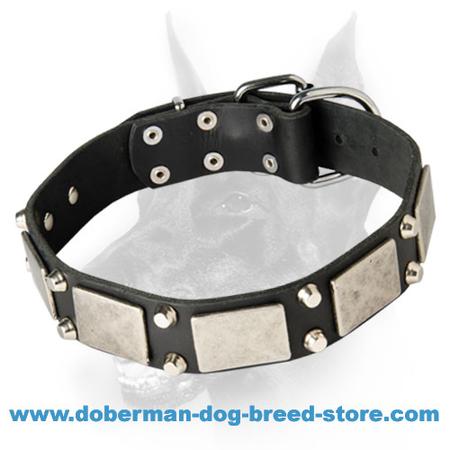 Extraordinary Leather Collar - Doberman Collar with Silver Plates and Pyramids