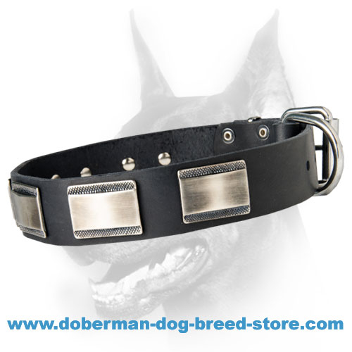 Fashion Doberman Collar Adorned wth Massive Vintage Plates