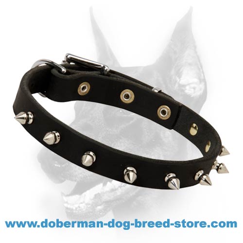 Spiked Leather Dog Collar-Worthy Dog Equipment-Dressy Canine Accessory