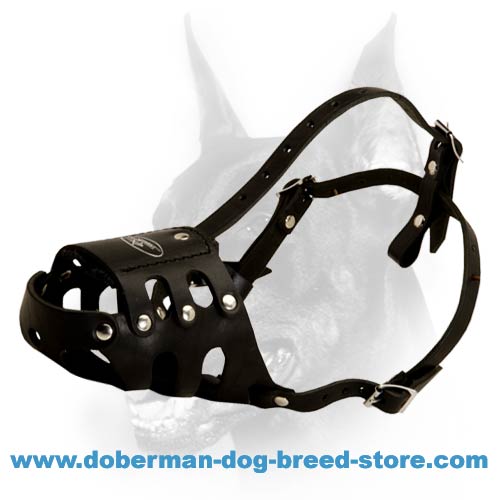 Doberman Dog Professional Training K9 Leather Muzzle