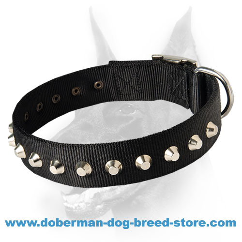 Fashion Nylon Collar with 1 Row Studs -1 1/2" for Doberman - Branded Product