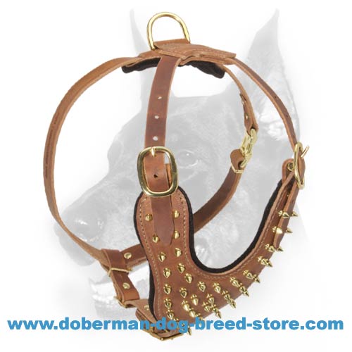 Fashion Leather Dog Harness Decorated With Brass Spikes - Click Image to Close