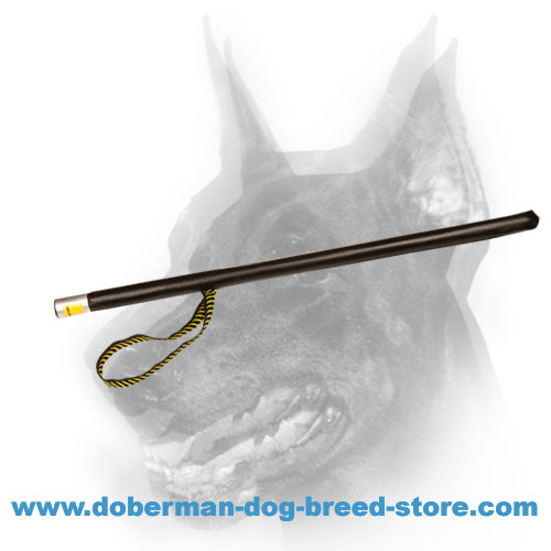 Doberman Dog Advanced Training Stick