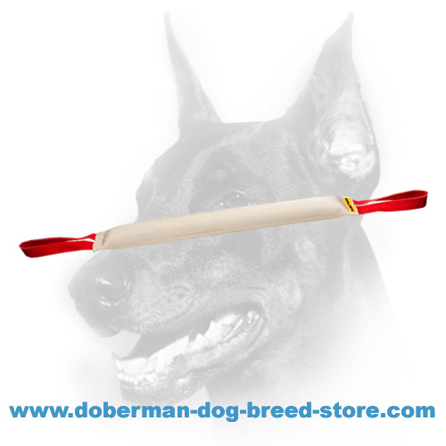 Doberman Dog Training Fire Hose Bite Tug