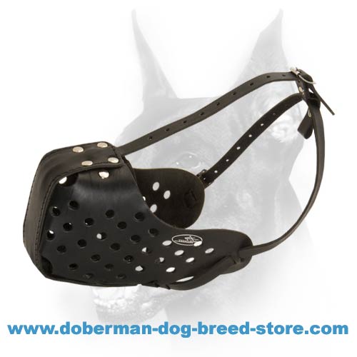 Fully Leathern Aditation Dog Muzzle-Reinforced Felt Padded Doberman Muzzle