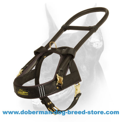 Perfect Doberman Guide Dog Harness with Reflective Strips