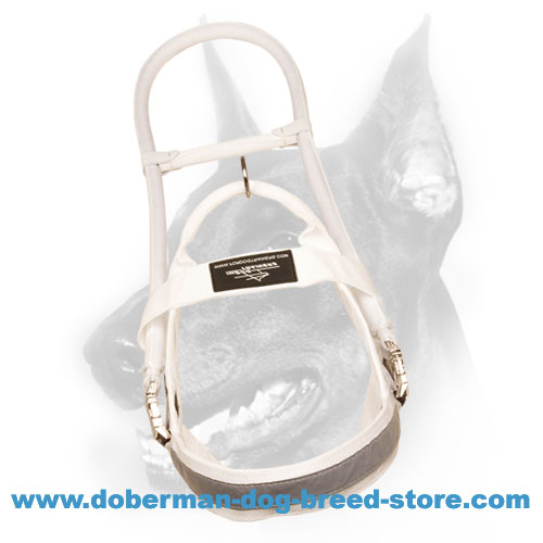 Doberman Dog Assistance Harness Made of Nylon "True White Guide"