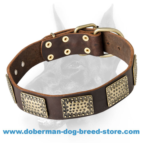 Designer Dog Collars