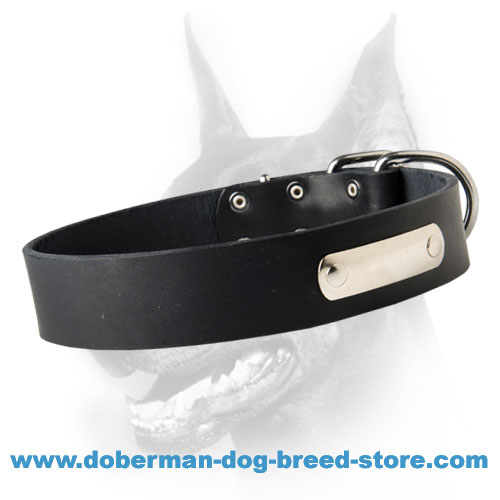 Specialized Leather Doberman Collar with ID Tag