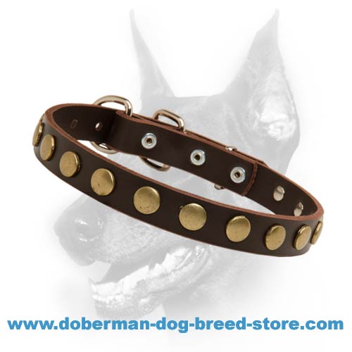 Designer Leather Dog Collar With Gold-Like Circles