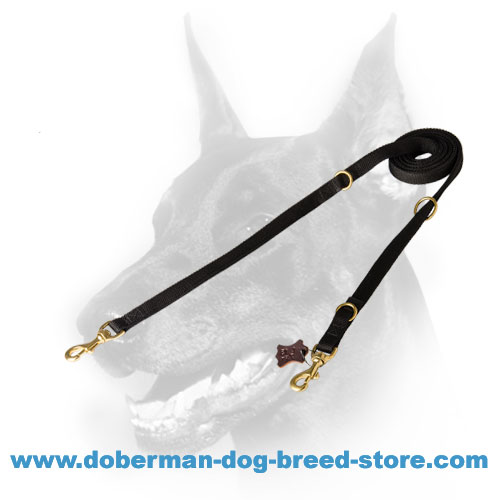 All-weather Multifunctional Doberman Leash
