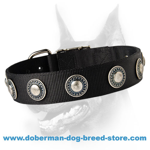 Exclusive Nylon Dog Collar with Awesome Silver Conchos