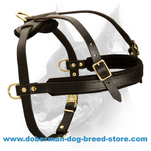 Genuine Leather No Pull Medium Large Dog Harness Strap Adjustable for Doberman 