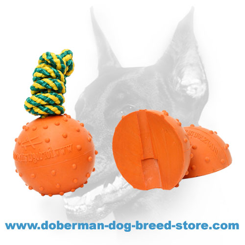 Doberman Dog-safe Rubber Ball with Durable Nylon Rope