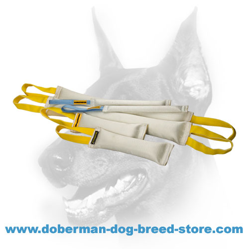 Doberman Dog Training Set of 6 Fire Hose Bite Tugs - buying it, you save $18.58