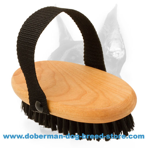 Doberman Dog Professional Bristle Brush for Grooming : Doberman Breed: Dog  Harness, Doberman Muzzle, Dog Collars