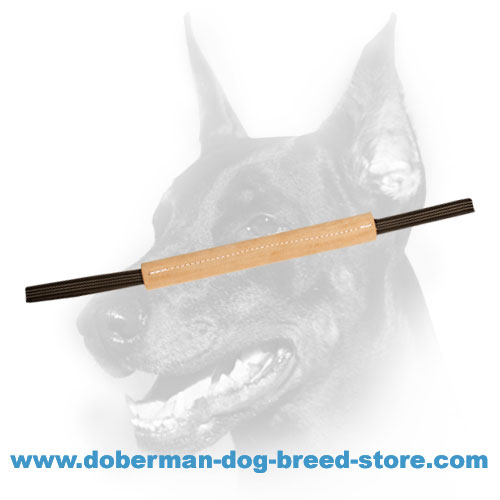 Doberman Puppy Bite Tug of Tough Leather