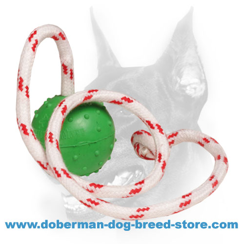 "Joy & Train" Doberman Dog Water Floating Rubber Ball