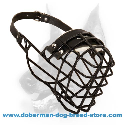 Doberman Wire Dog Muzzle for Winter with Rubber Cover