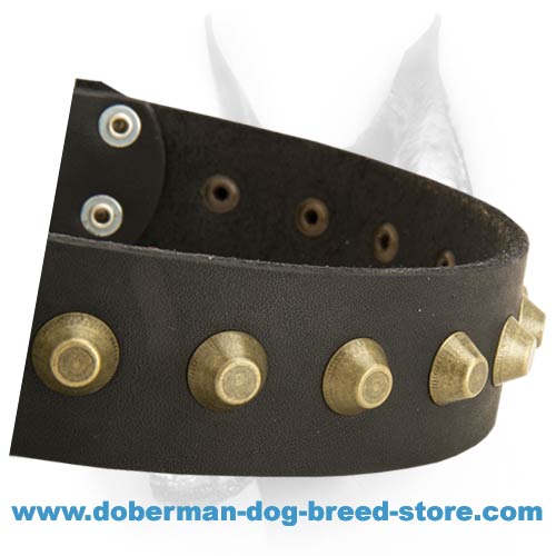 Gorgeous Wide Leather Dog Collar With One Centered Row Of Brass Pyramids