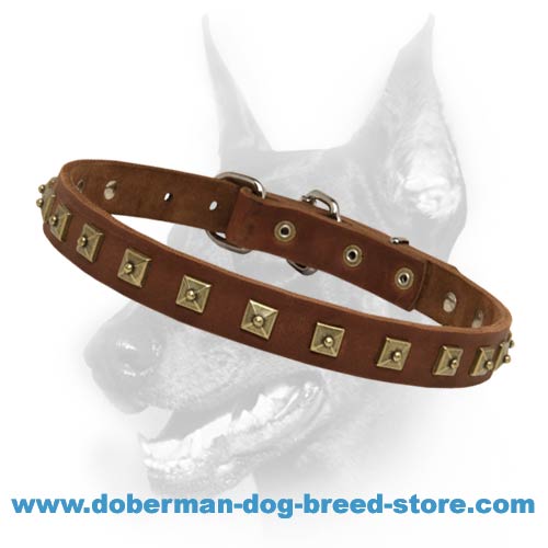 Worthy Leather Dog Collar-Brass Studded Doberman Breed Collar - Click Image to Close