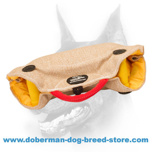 Doberman Puppy / Young Dog Jute Bite Developer