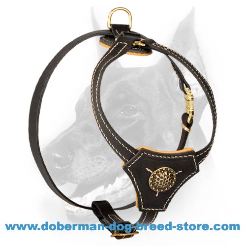 Extra Strong Leather Harness for Doberman Puppy