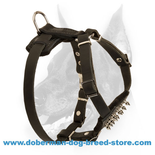 Doberman Puppy Genuine Leather Harness for Maximum Control