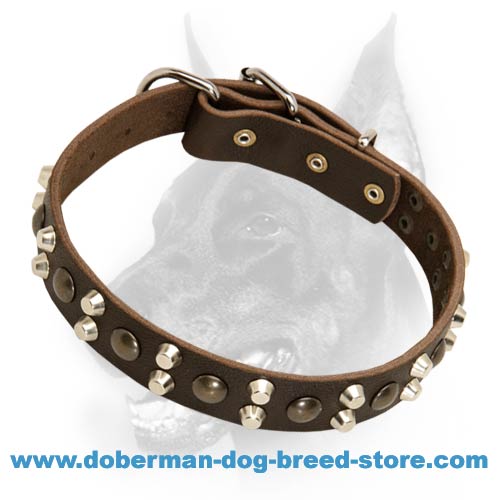 Custom Studded Leather Dog Collar for Doberman