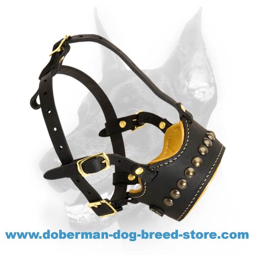 Doberman Dog Obedience Training Muzzle with Stylish Studs