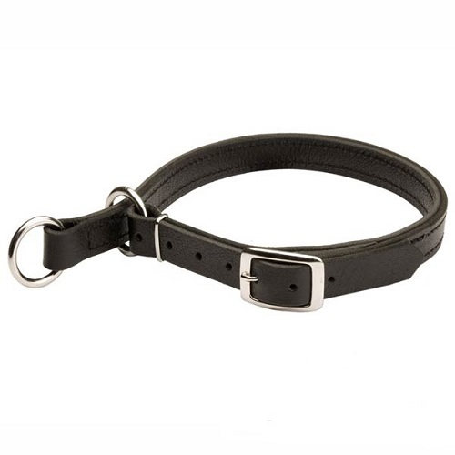 Adjustable Leather Slip Collar with Solid Nickel-plated hardware