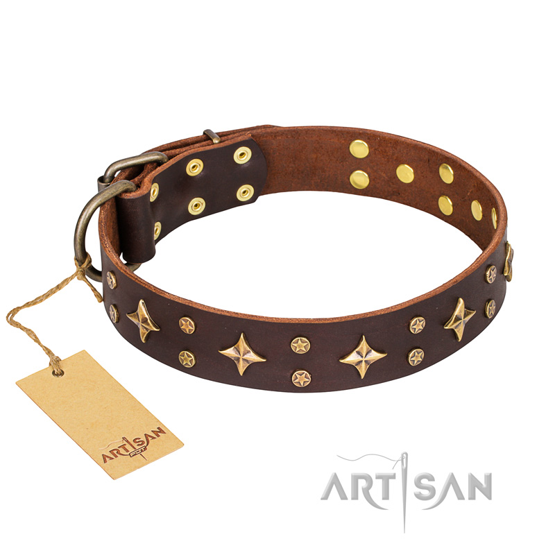 'High Fashion' FDT Artisan Embellished Brown Leather Doberman Collar
