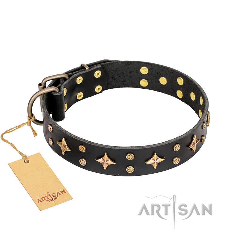 'A La Mode' FDT Artisan Handcrafted Black Leather Doberman Collar