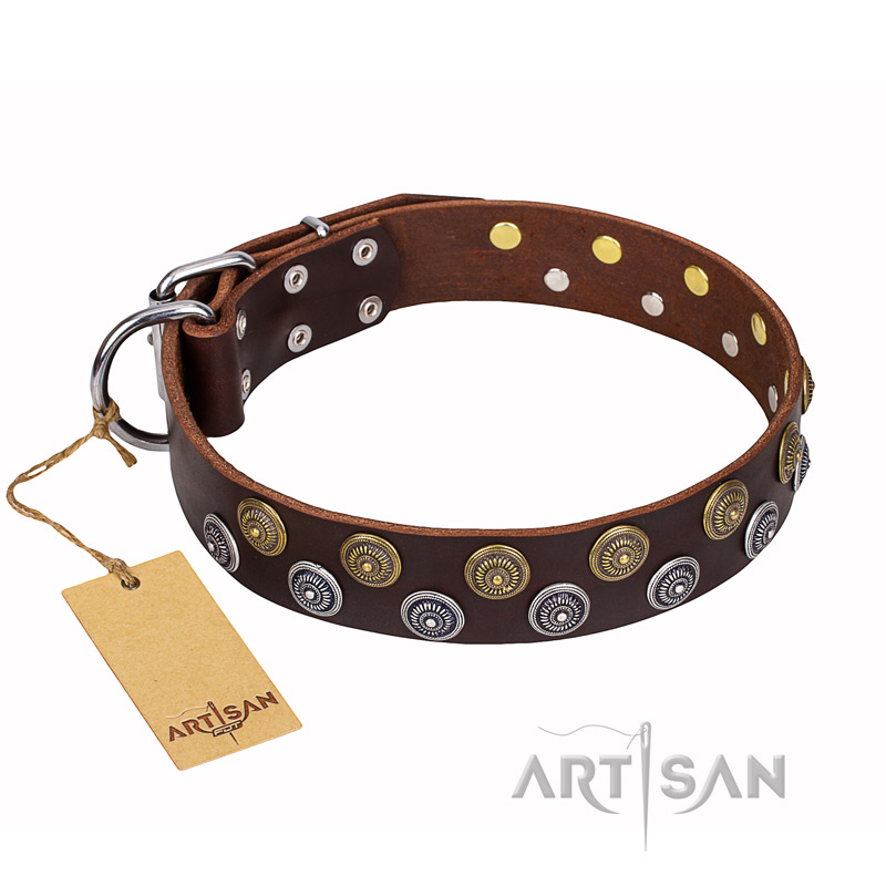 'Strong Shields' FDT Artisan Brown Leather Doberman Collar with Stylish Circular Studs