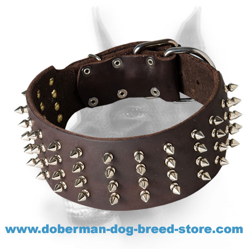 Doberman Dog Collar With Spikes Hand Set in 4 Rows