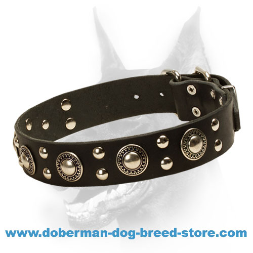 'Rock n Roll' Doberman Dog Collar with Metal Decoration - Click Image to Close