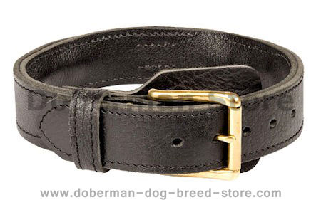 Leather Hardwearing Durable Dog Collar for Doberman