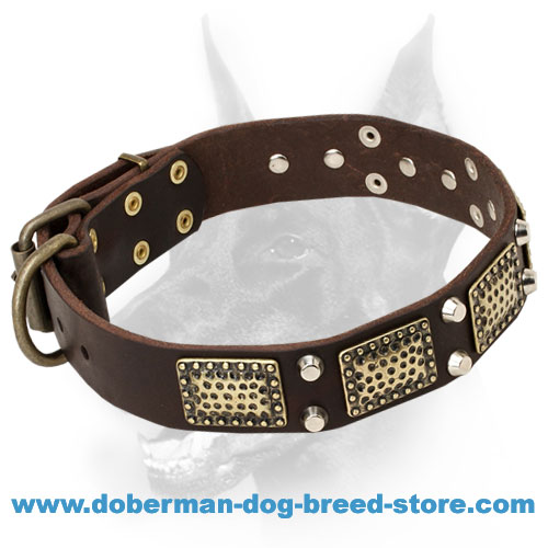 War Doberman Dog Leather Collar with Plates and Pyramids