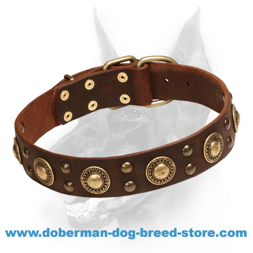 "Space-like" Doberman Dog Collar with Outstanding Adornment - Click Image to Close
