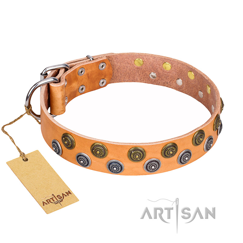 "Precious Sparkle" FDT Artisan Tan Leather Doberman Collar with Gold and Silver-like Studs