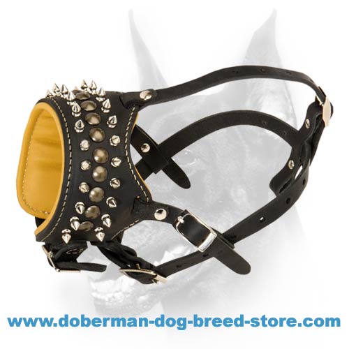 Royal Spiked Leather Dog Muzzle for Doberman
