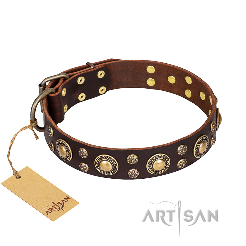 'Flower Melody' FDT Artisan Brown Leather Doberman Collar with Mixed Studs