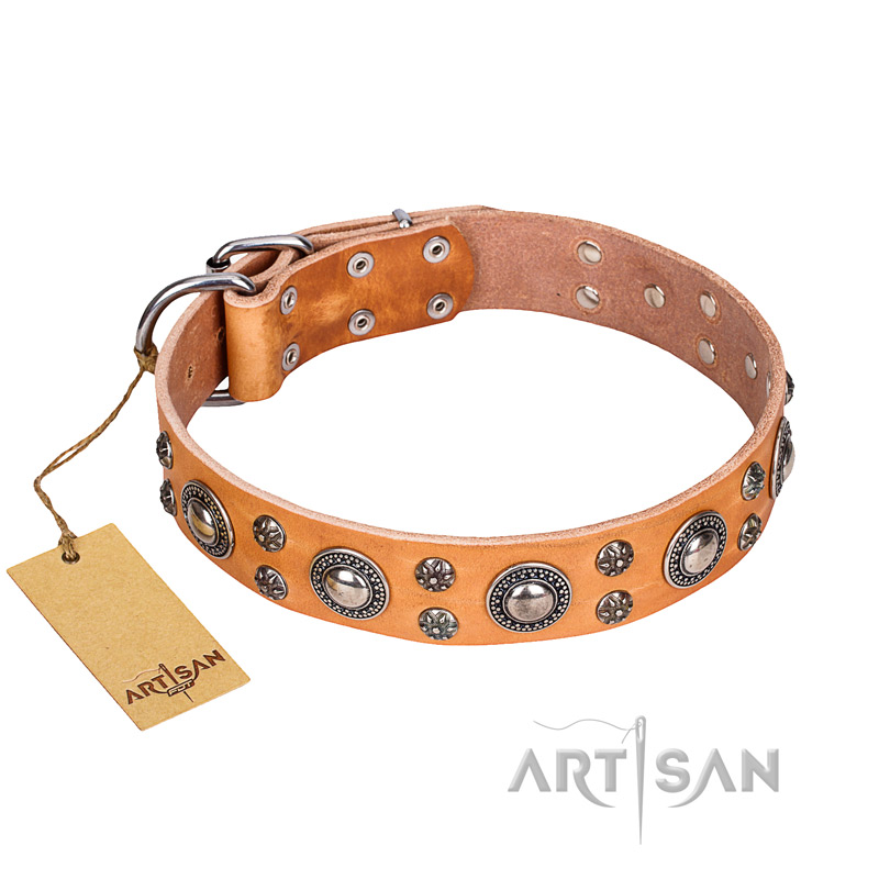 'Extra Sparkle' FDT Artisan Handcrafted Doberman Tan Leather Dog Collar