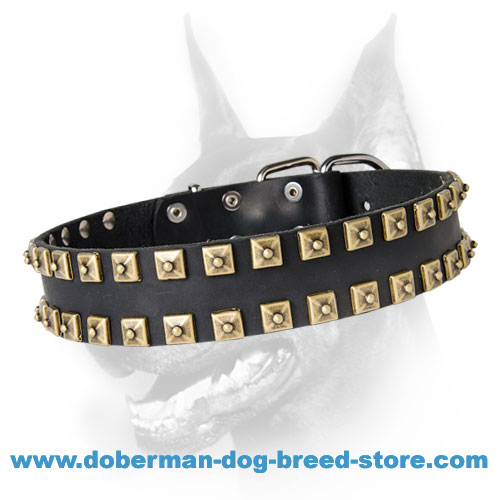 Newly-Designed Brass Studded Leather Dog Collar - "Caterpillar"