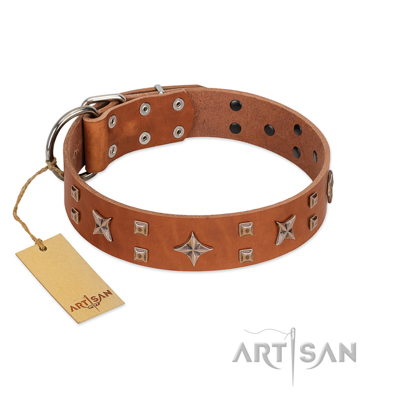 "Dreamy Gleam" FDT Artisan Tan Leather Doberman Collar Adorned with Stars and Squares