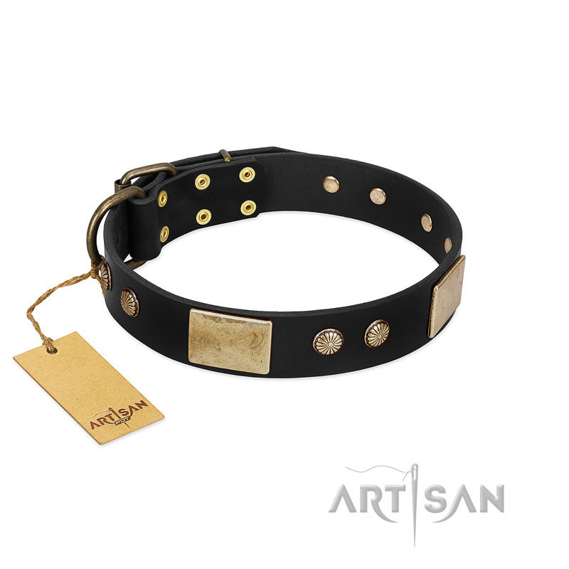 "Antique Gloss" FDT Artisan Black Leather Doberman Collar with Bronze-like Plates and Small Studs