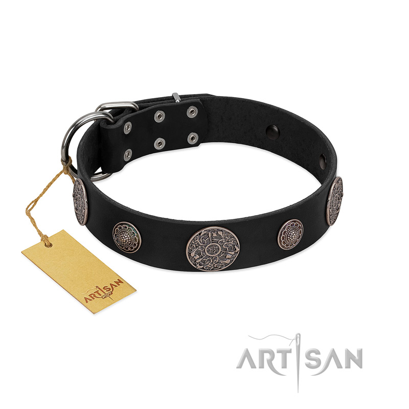 "Ad Infinitum" Durable FDT Artisan Black Leather Doberman Collar with Chrome Plated Brooches