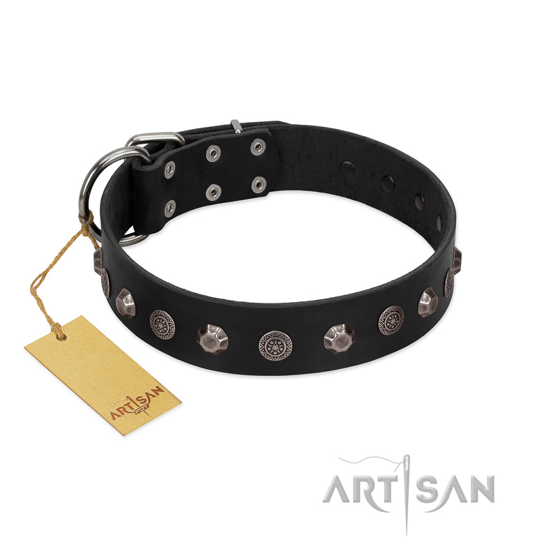 "Black Knight" Handmade FDT Artisan Black Leather Doberman Collar with Silver-Like Studs - Click Image to Close
