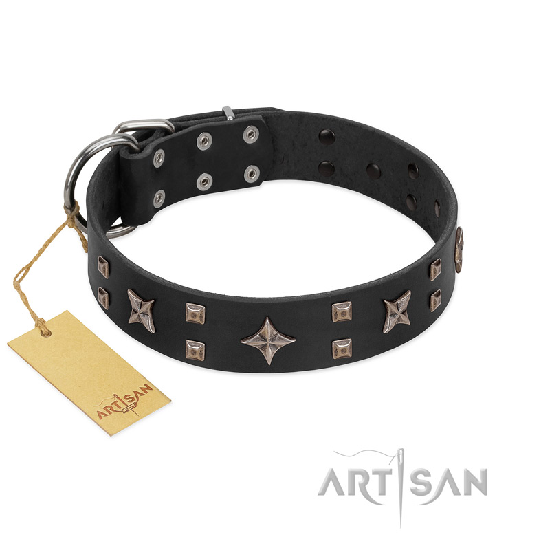 "Star Excitement" Modern FDT Artisan Black Leather Doberman Collar with Studs and Stars